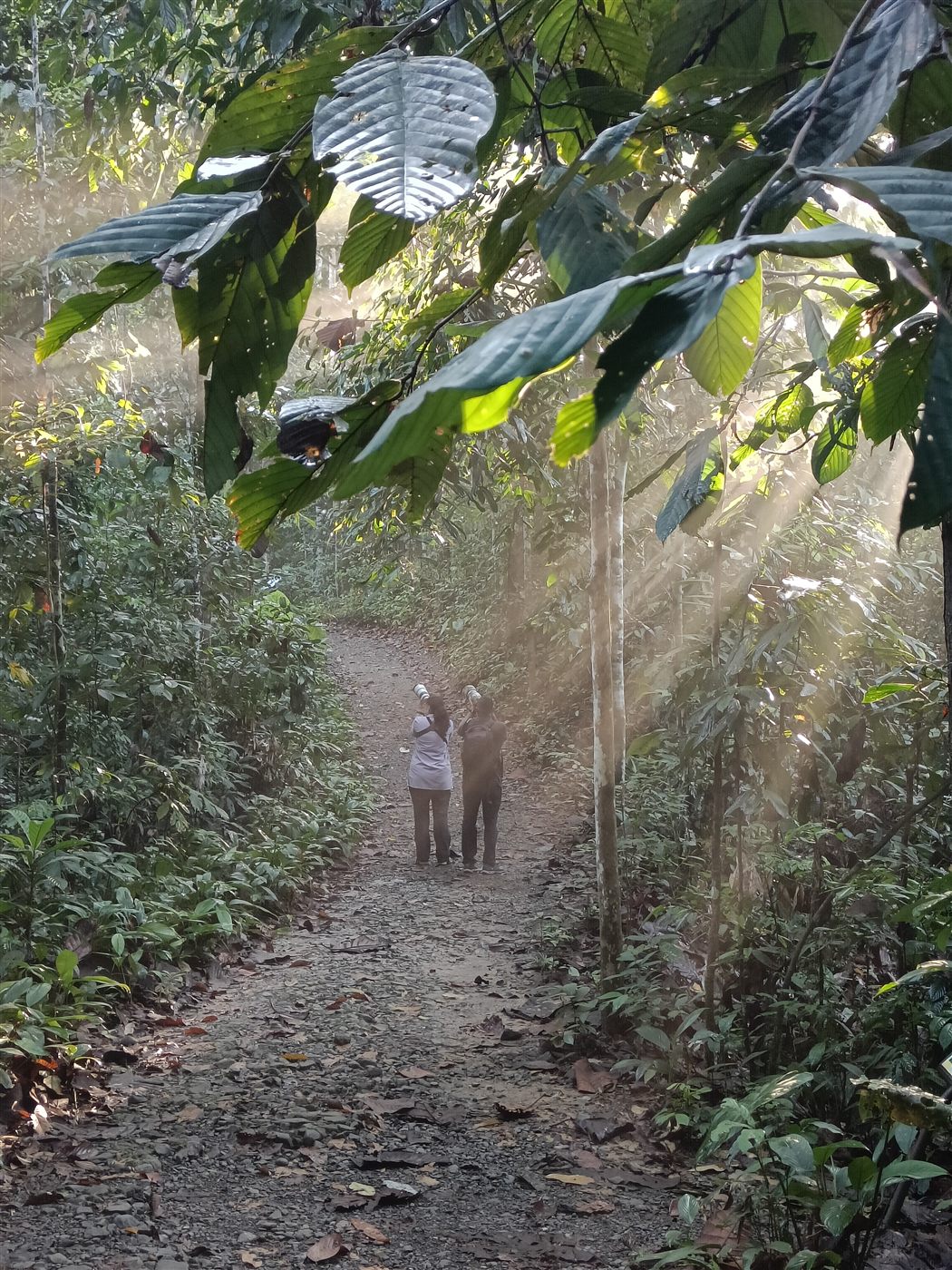First light on the trail